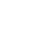 Bitcoin Logo